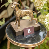 Nana hunting dog brass press papier