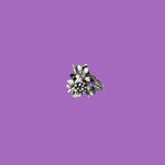 Poison Ivy bouquet brass ring, an exclusive bouquet-shaped ring crafted from premium brass by artisan Fabian Crosta.