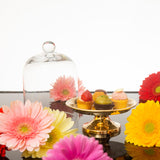 Alzatina per dolci in ottone con cupola in vetro