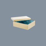Scatola Treasure rettangolare in ottone piccola