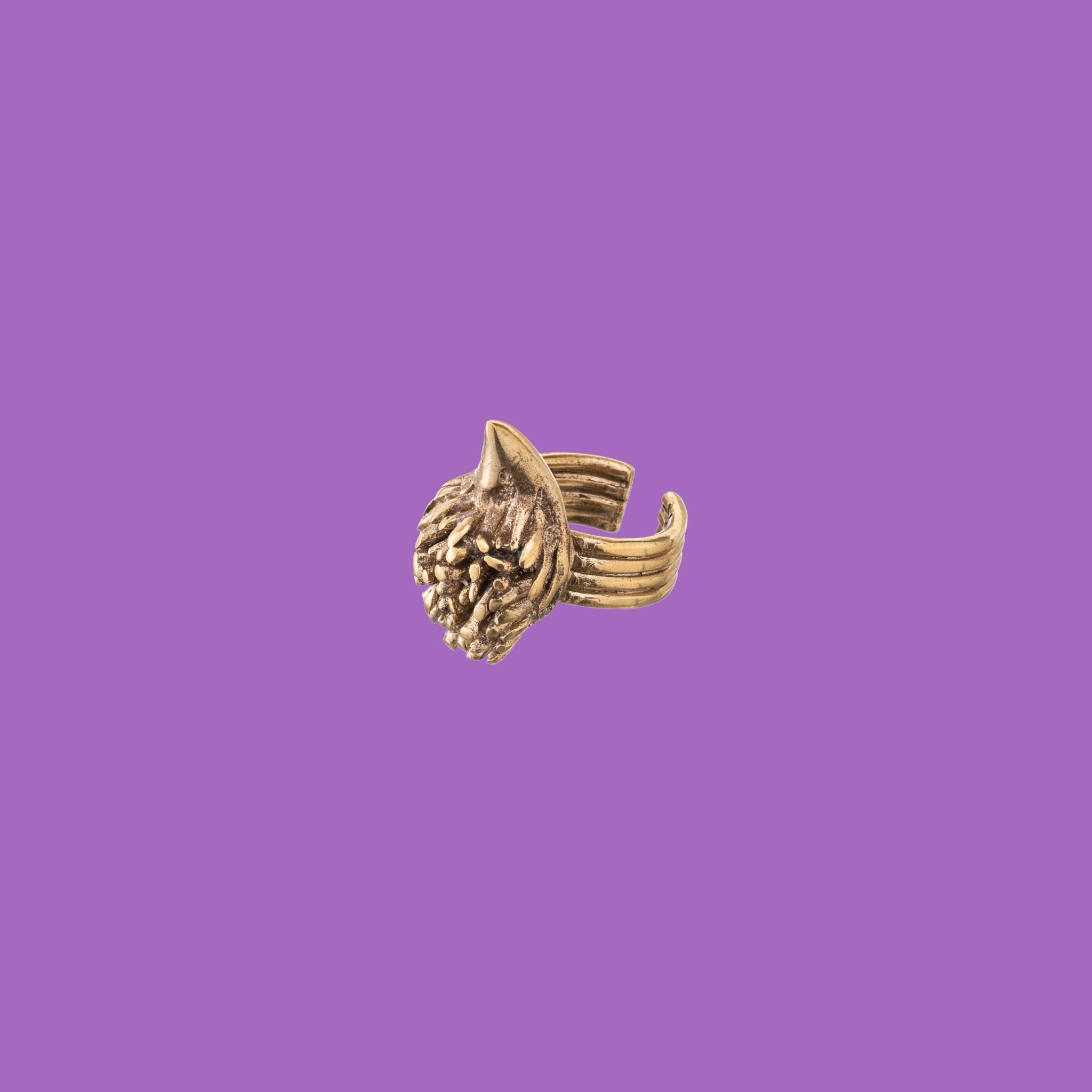 Anello riccio in ottone 'NipoTino' di KiaraLN. Abbracciate il fascino di questo accessorio unico, meticolosamente realizzato per un tocco di eleganza ispirato alla natura.
