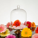 Brass and glass cake stand medium
