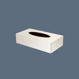 Rectangular brass kleenex box small