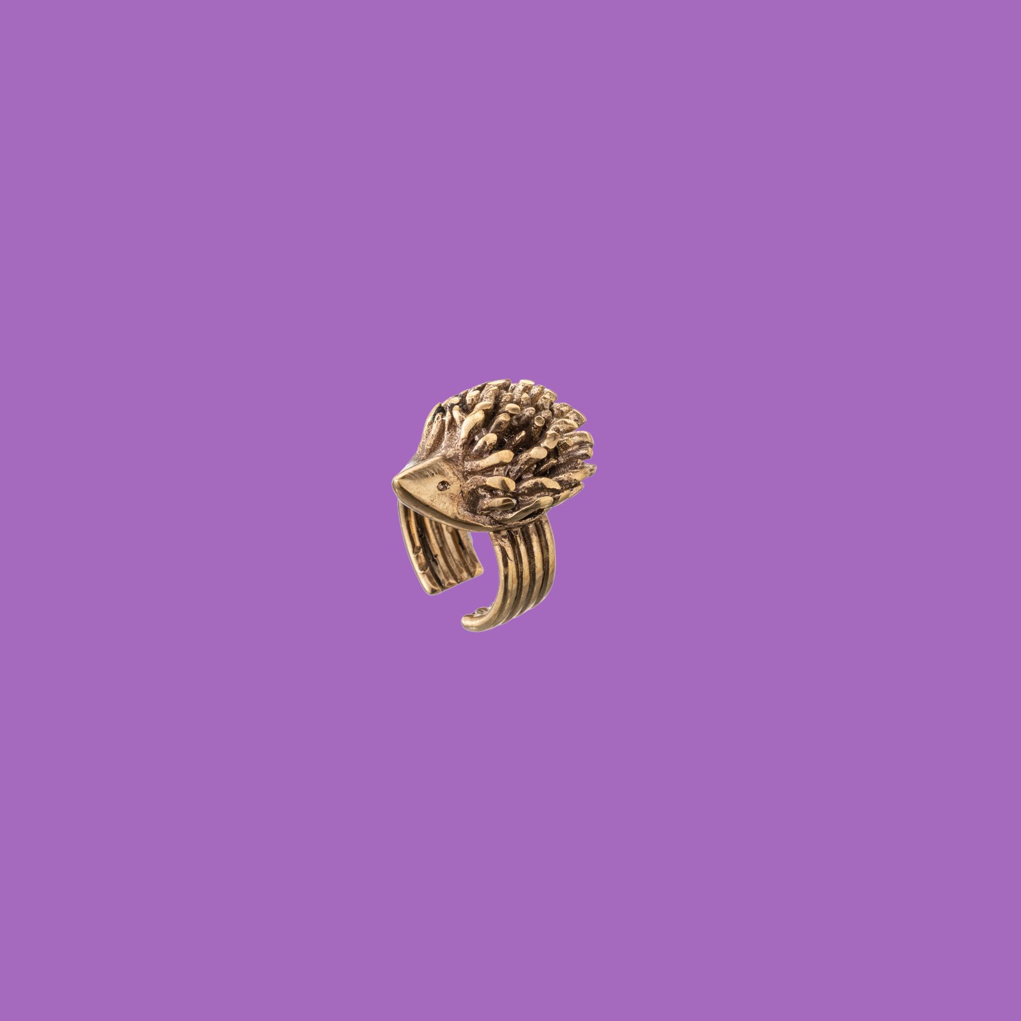 'NipoTino' brass hedgehog ring by KiaraLN. Embrace the charm of this unique accessory meticulously crafted for a touch of nature-inspired elegance.