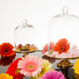 Alzatina per dolci in ottone con cupola in vetro